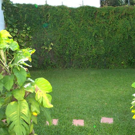 Beautiful Jungle House On A Strategic Location Cancún Exterior foto