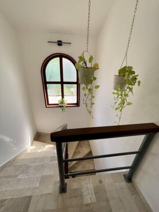 Beautiful Jungle House On A Strategic Location Cancún Exterior foto